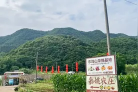 一首《友谊》旋律优美动人，悦耳动听，百听不厌！请欣赏.视频封面