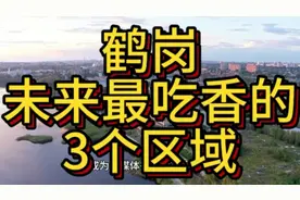 鹤岗未来最吃香的3个区域，这3个区域实力最强，在当地不容小觑！