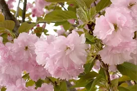 孙权建都武昌，不是如今的武昌，而是现在的鄂州！视频封面