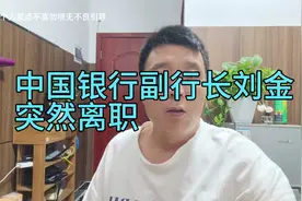 中国银行副行长刘金突然离职，反常必有妖视频封面
