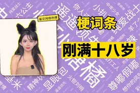 【梗词条】刚满十八岁是什么梗？视频封面