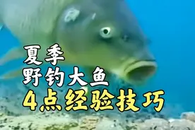 沟坎藏鱼找鱼而钓，了解这4点经验技巧，夏季野钓大鱼并不难视频封面