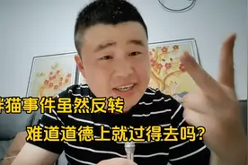 胖猫跳江事件发生反转，法律上没有责任，道德上就过得去吗？视频封面