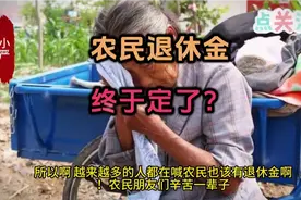 农民“退休金”终于定了？农村老人养老金的标准＃视频封面