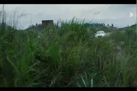 惊心动魄的情节视频封面