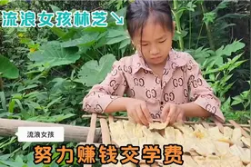 尼泊尔流浪女孩林芝努力赚钱交学费，在马路上捡废品碰到好心人视频封面