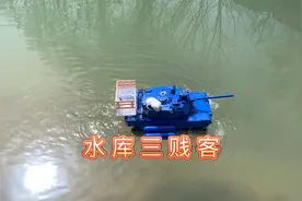 史上第一次龟鼠结盟组成水库三贱客，它们要揍扁狸花猫和鳄龟！视频封面