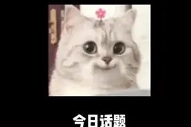 注定要告别的，为什么要相遇呢