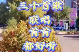 三十首歌联唱，首首都好听！