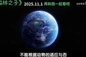 【森林之子】