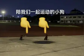 小狗也爱兜风，一起运动视频封面