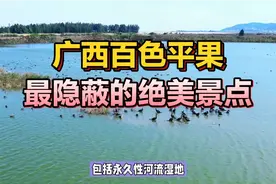广西百色平果最隐蔽的绝美景点视频封面