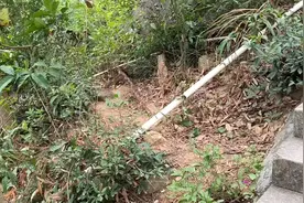 美女她还会把衣服放路边吗