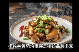 杨铭宇黄焖鸡事件来龙去脉视频封面