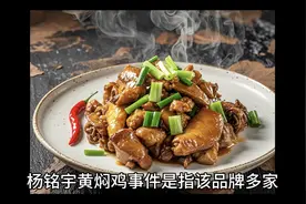 杨铭宇黄焖鸡事件来龙去脉视频封面