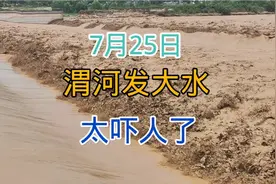 7月25日实拍渭河发大水，犹如脱缰的野马奔流而泄，场面太吓人了