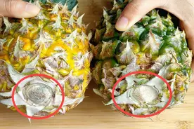 菠萝甜不甜，瞧一眼这里就知道，一挑一个准，老果农方法真管用视频封面