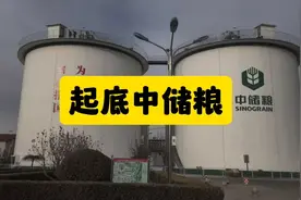 中储粮到底是一家什么公司？旗下拥有哪些品牌？视频封面