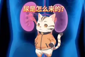 尿是怎么形成的视频封面