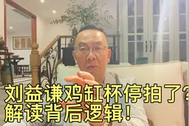 刘益谦鸡缸杯停拍了？解读背后逻辑……视频封面