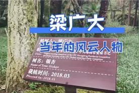 梁广大，当年的风云人物，在邓小平故里种了一银杏树。视频封面