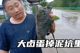 大卤蛋掉泥坑里了，裤子鞋上全是大泥巴，辛广坤把裤子租给他视频封面