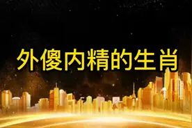 外傻内精的生肖视频封面