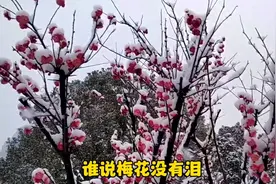 横店下雪了，江南的浙中横店几年难得下一次雪，纷纷扬扬了一天