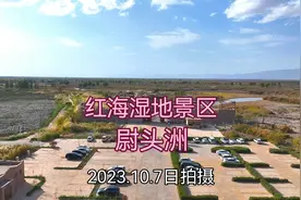 红海湿地景区 尉头洲 (2023.10.7日拍摄)视频封面