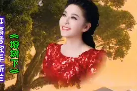 一首经典歌曲《榕树下》 女高音歌手斯兰的动人演绎！视频封面