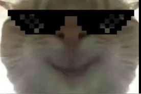 各位小伙伴，需要和平精英小老鼠的图片，你到这里来