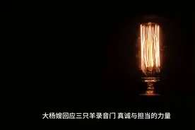 大杨嫂回应三只羊录音门