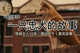 这只狗狗感动了无数人，甚至还为它立了雕像，八公的感人故事视频封面