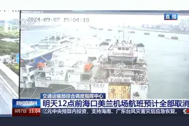 关注“摩羯”动态：明天12点前海口美兰机场航班预计全部取消