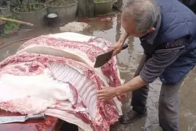 儿子马上就要回来了，老人提前就把年猪杀好，等他回家就有肉吃了视频封面
