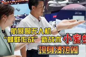 航展聊起无人机蜂群作战 竟真有蜜蜂凑过来视频封面