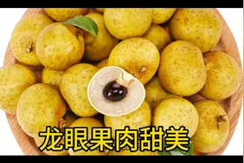 龙眼功效：补血益气、养心益智、养颜美容