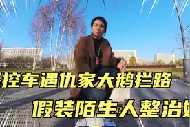 遥控车遇上仇家大鹅拦路，假装陌生人整治她视频封面