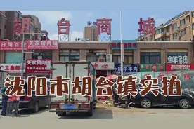 沈阳市胡台镇视频封面