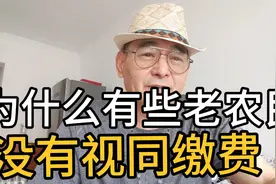 为什么有些老农民没有视同缴费？