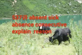 实用英语口语，写作，词汇537讲 缺席的 absent