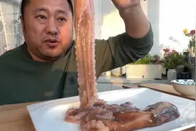 八爪鱼蘸辣根，鲜嫩爽滑有嚼劲，大哥一口接一口，咔哧咔哧听着馋视频封面