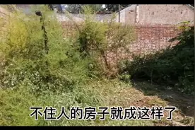 农村的房子不住人会是什么样？视频封面