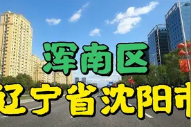辽宁省沈阳市一个叫浑南区的地方，这里现在建设的真棒视频封面