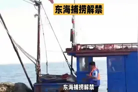 捕螃蟹一月赚四万！东海渔民的逆袭之路大揭秘！视频封面