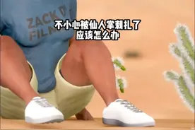 如果不小心被仙人掌刺扎了，应该怎么办？