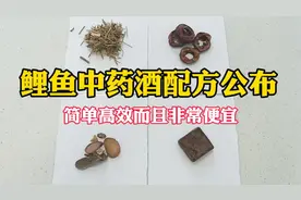 这是我常用的野钓鲤鱼中药酒配方，一年四季都可以用，效果不错