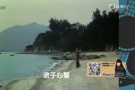 许冠杰 Sam Hui《浪子心声》曲:许冠杰 词:许冠杰/黎彼得视频封面