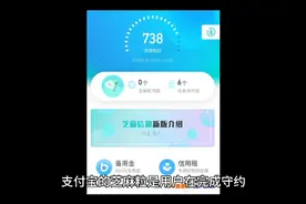 支付宝的芝麻粒有哪些用处，你知道吗？