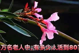 一万名老人中，有多少人活到80岁？活到多少岁算长寿？ 医生告诉视频封面